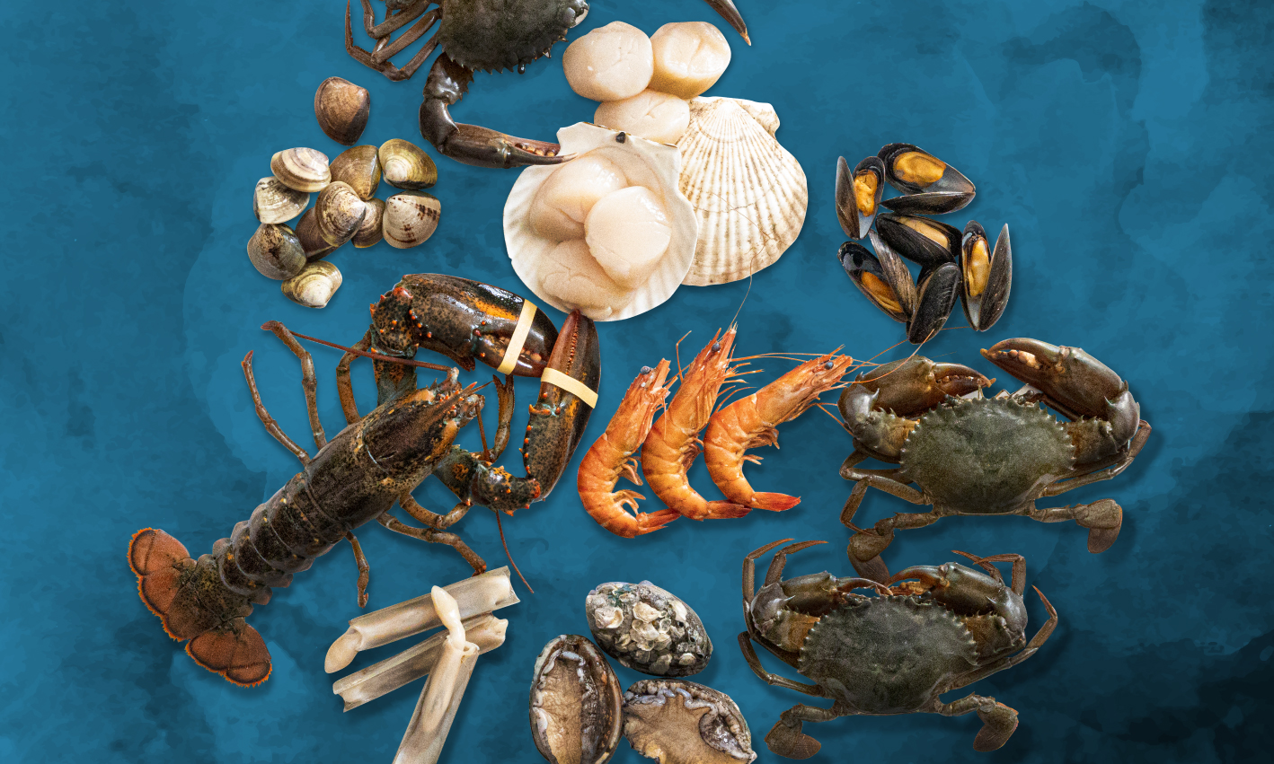 Shellfish Treasures