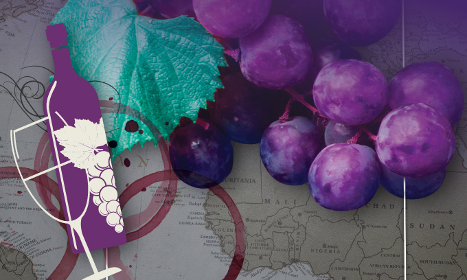 Unusual Grape, Country Wine Fair